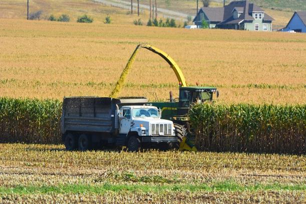 Truck harvesting crop