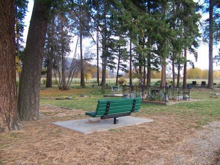 Wooden bench next to trees at cemetery