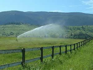 Irrigation system spraying water to plants 