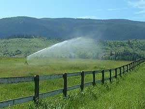 Irrigation system spraying water to plants