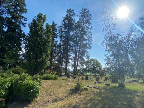 Cemetery Scenic View